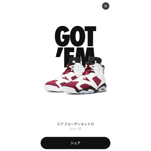 NIKE AIR JORDAN 6 Retro Carmine  カーマイン