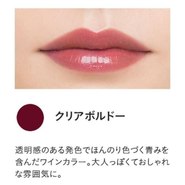 ETVOS(エトヴォス)のvivi 最新刊 エトヴォス リップ プランパー シアー クリアボルドー コスメ/美容のベースメイク/化粧品(リップグロス)の商品写真