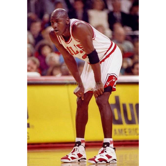 NIKE(ナイキ)の【サイズ別最安値】air jordan 6 carmine メンズの靴/シューズ(スニーカー)の商品写真