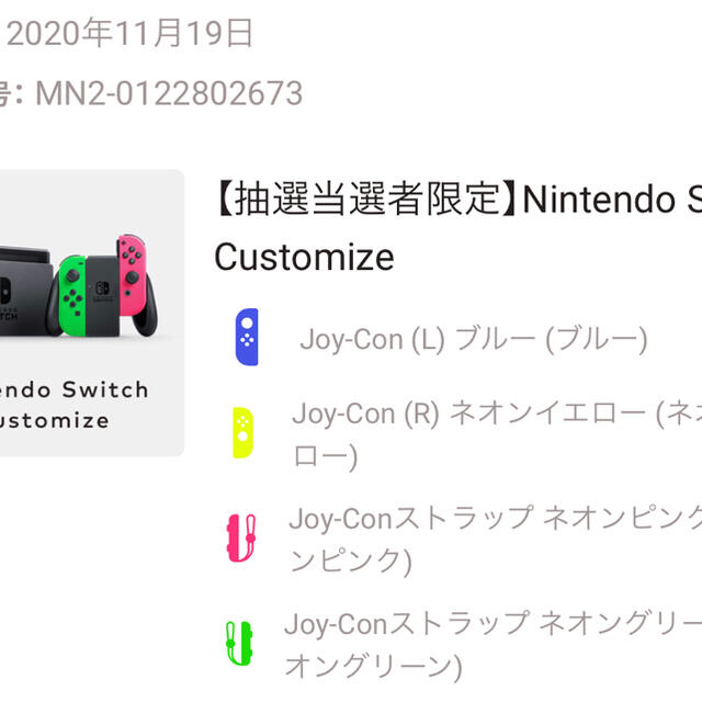 Nintendo Switch Customize【抽選当選者限定】