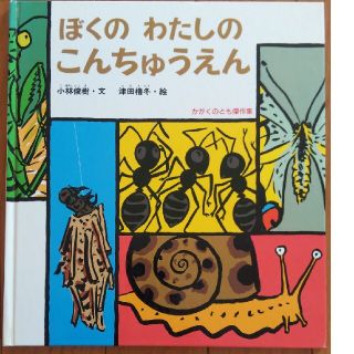 ぼくのわたしのこんちゅうえん(絵本/児童書)