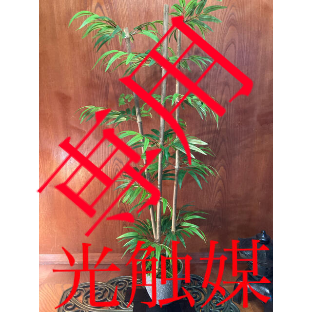 光触媒　人工観葉植物　ウォールグリーン　造花　インテリア　竹113