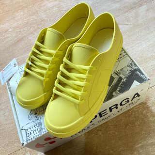 スペルガ(SUPERGA)のSUPERGA スペルガ メンズ スニーカー(スニーカー)