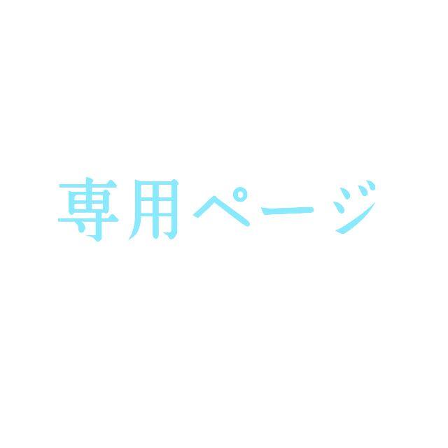 期間限定特別価格 追加料金専用