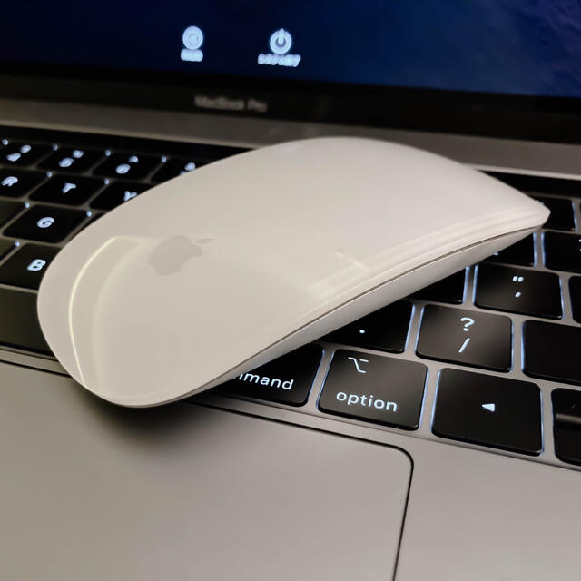 【即購入OK】Magic Mouse 2 シルバー(純正)PC周辺機器