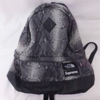 シュプリーム(Supreme)のSupreme The North Face(バッグパック/リュック)