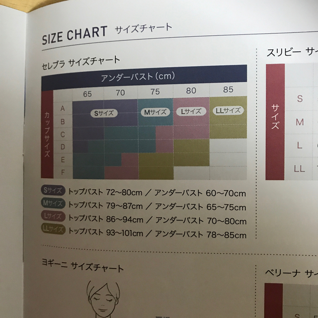 ドクターメゾット ナイトブラ セレブラ  LL レディースの下着/アンダーウェア(ブラ)の商品写真