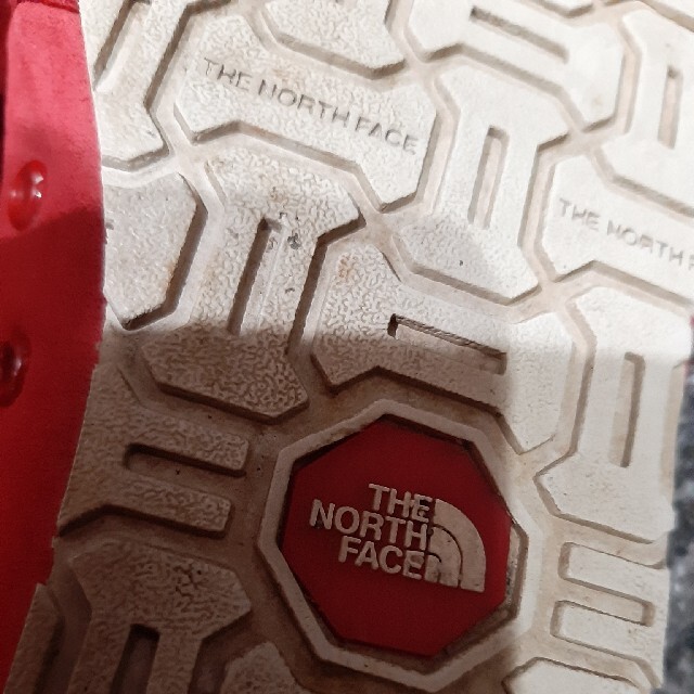 THE NORTH FACE(ザノースフェイス)のノースフェイス　靴 レディースの靴/シューズ(スニーカー)の商品写真