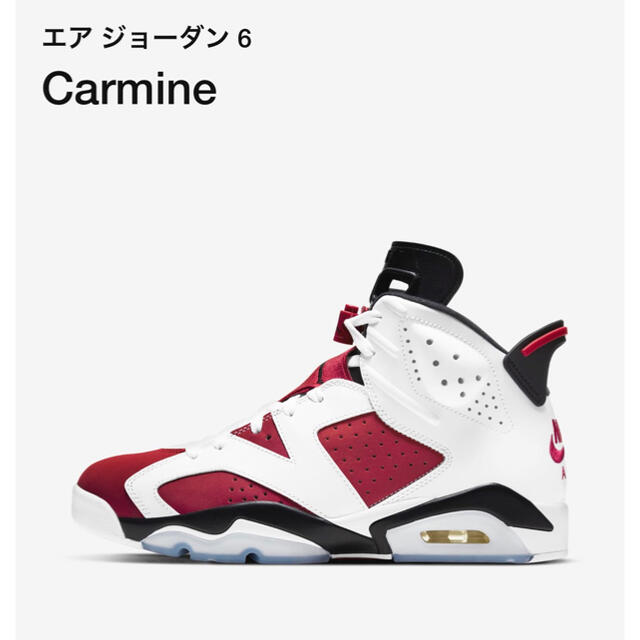 NIKE(ナイキ)のAIR JORDAN6 RETRO Carmine 【新品】 メンズの靴/シューズ(スニーカー)の商品写真