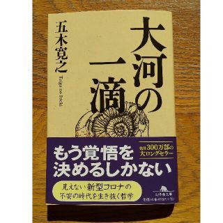 大河の一滴(文学/小説)