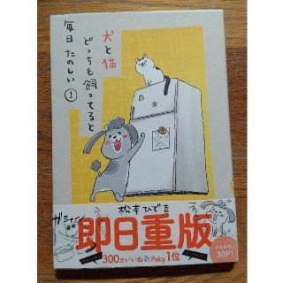 犬と猫どっちも飼ってると毎日たのしい 1(その他)