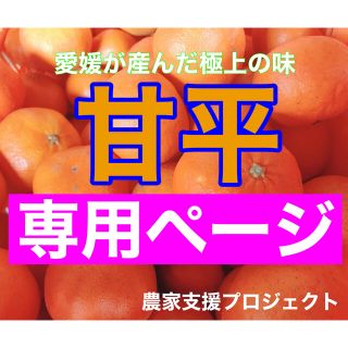 ぶんぶん様専用(フルーツ)