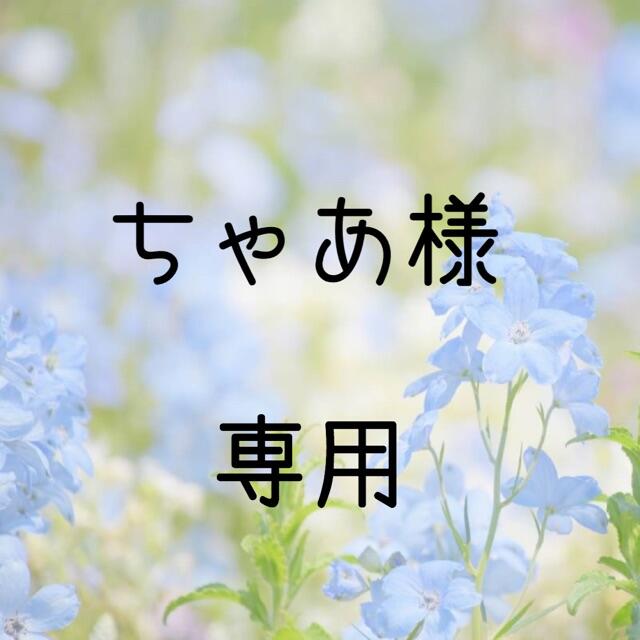 ちゃあ お米　令和２年　愛媛県産キヌヒカリ　玄米　20㎏