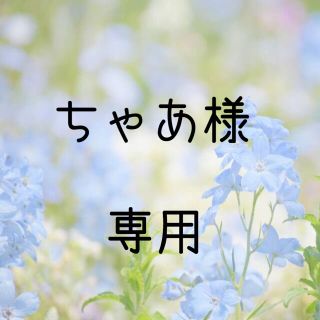 ちゃあ様専用 お米　令和２年　愛媛県産キヌヒカリ　玄米　20㎏(米/穀物)