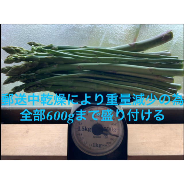 春一番グリーンアスパラガス500g 食品/飲料/酒の食品(野菜)の商品写真