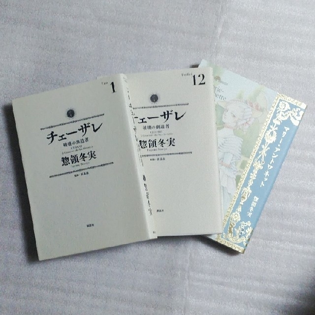 sedona様専用】「チェーザレ」(破壊の創造者)最新12巻セット+1冊