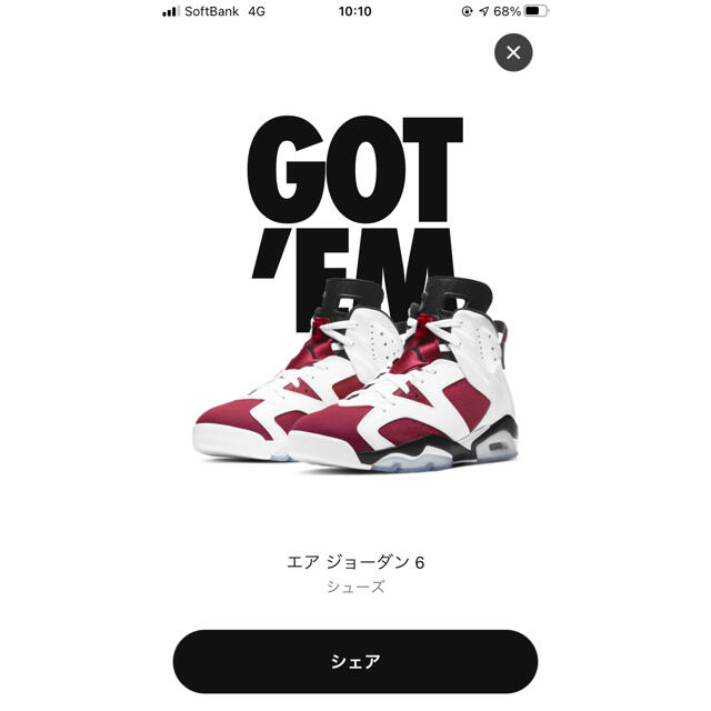 【28.5cm】Nike Air Jordan 6 Carmine