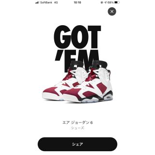 ナイキ(NIKE)の【28.5cm】Nike Air Jordan 6 Carmine(スニーカー)