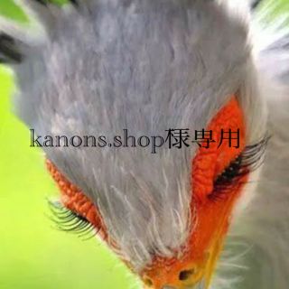 カオウ(花王)のブローネヘアマニキュア(白髪染め)