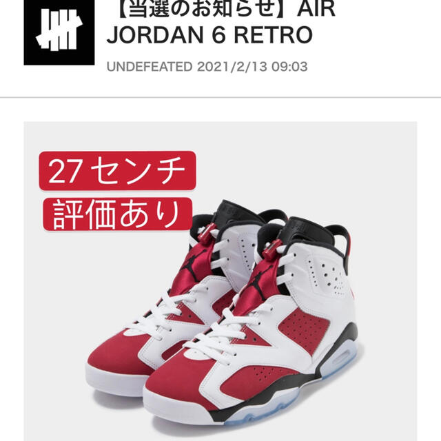 AIR JORDAN 6 RETRO CARMINE aj6 カーマイン　27