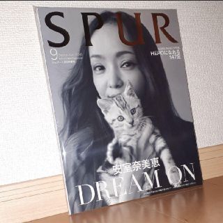 SPUR 2018.9月号(表紙・安室奈美恵) シルバー(ファッション)