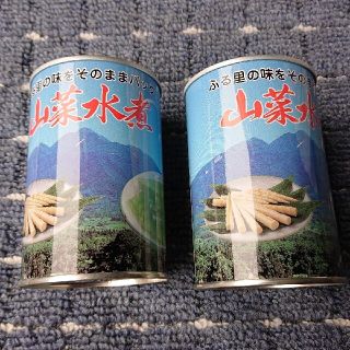 青森県産根曲がり竹缶詰め  2缶(野菜)