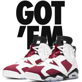 ナイキ(NIKE)の【28.5cm】AIR JORDAN 6 Carmine 2021(スニーカー)