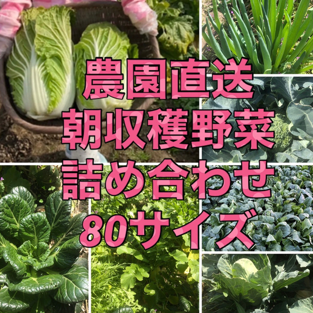 福岡県産★栽培期間中農薬不使用または減農薬　野菜詰合せ　80サイズ 食品/飲料/酒の食品(野菜)の商品写真