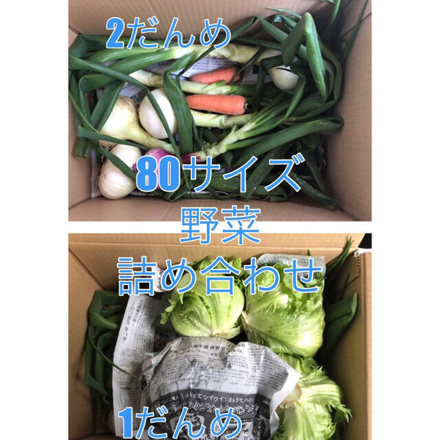 福岡県産★栽培期間中農薬不使用または減農薬　野菜詰合せ　80サイズ 食品/飲料/酒の食品(野菜)の商品写真