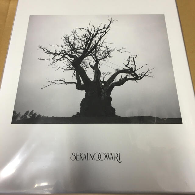 SEKAI NO OWARI 2010-2019 完全限定プレミアムBOX 新品DVD付