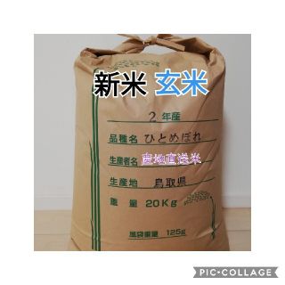 新米 お米20kg 令和2年鳥取県産 ひとめぼれ 《玄米》(米/穀物)