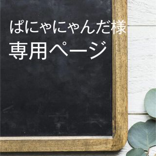 ぱにゃにゃんだー様専用の通販 ラクマ