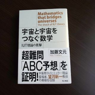 宇宙と宇宙をつなぐ数学iut理論の衝撃(科学/技術)