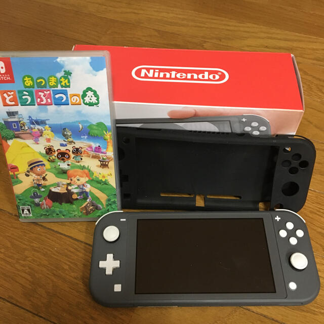 Nintendo Switch SWITCH LITE グレー