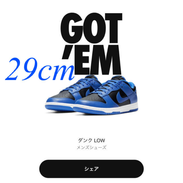 29cm NIKE DUNK ダンク LOW Hyper Cobalt