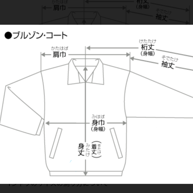 Crocodile(クロコダイル)のクロコダイルのパーカー メンズのトップス(パーカー)の商品写真