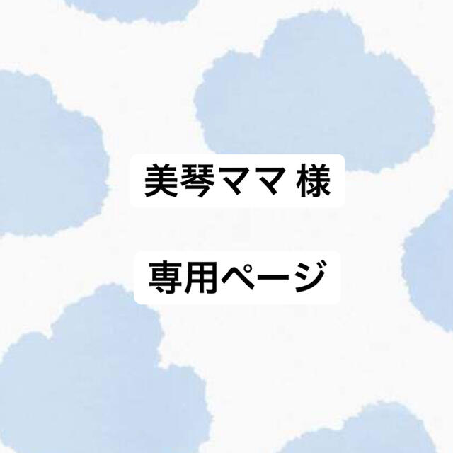 専用 その他のその他(その他)の商品写真