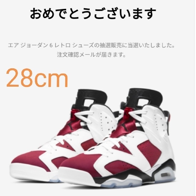 靴/シューズ28cm★NIKE AIR JORDAN 6 RETRO カーマイン