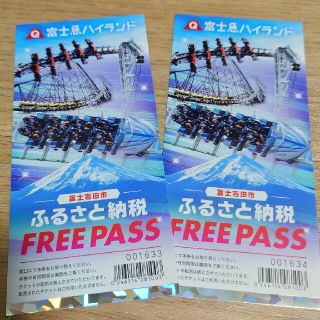 富士急ハイランド　フリーパス　2枚　(有効期限：2021年8月31日)(遊園地/テーマパーク)