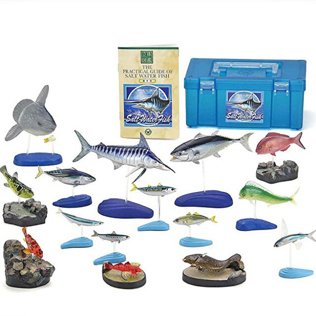 【中古】COLORATA カロラータ 日本の海水魚 フィギュア 立体図鑑 エンタメ/ホビーのフィギュア(その他)の商品写真