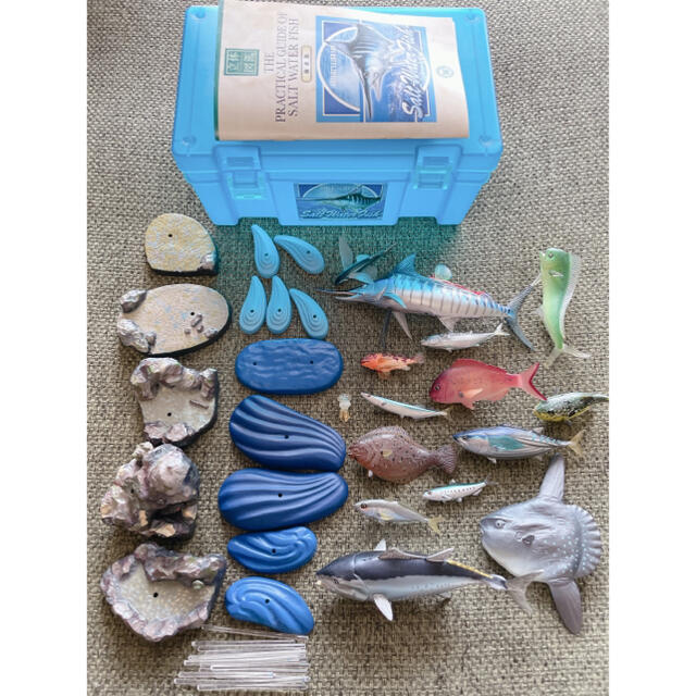 【中古】COLORATA カロラータ 日本の海水魚 フィギュア 立体図鑑 エンタメ/ホビーのフィギュア(その他)の商品写真