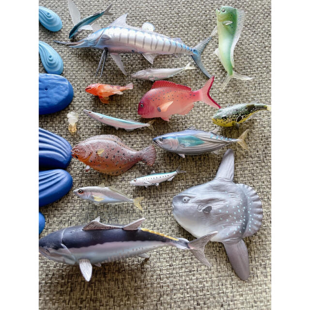 【中古】COLORATA カロラータ 日本の海水魚 フィギュア 立体図鑑 エンタメ/ホビーのフィギュア(その他)の商品写真