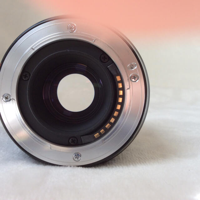 フジフィルム 60mm f2.4 XF マクロ 2