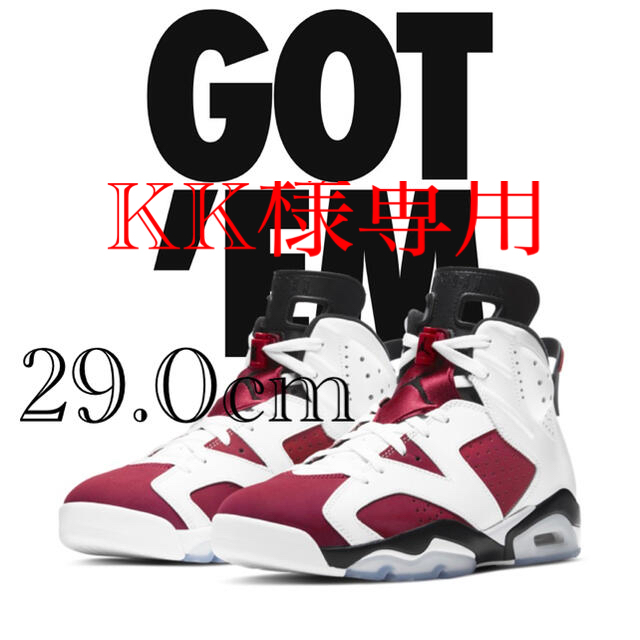 Air Jordan 6 "carmine" 29.0cm