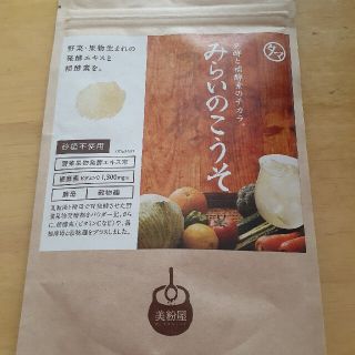 みらいのこうそ　100g(その他)