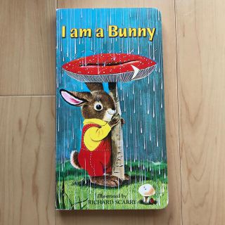 I AM A BUNNY(BB)(洋書)