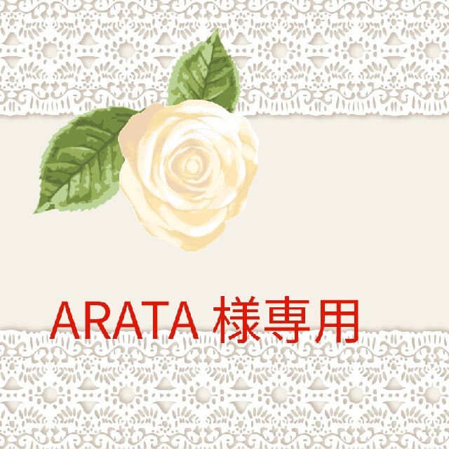ARATA☆様専用 エンタメ/ホビーのCD(その他)の商品写真