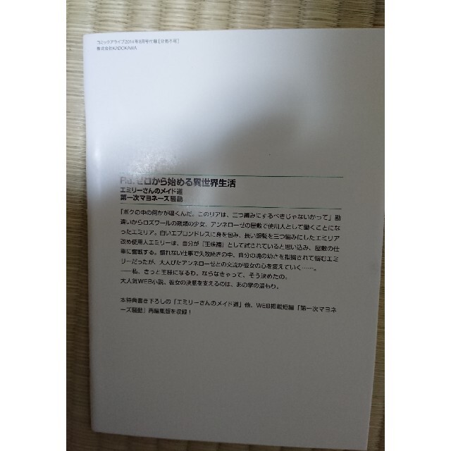 リゼロ小説 エンタメ/ホビーの本(文学/小説)の商品写真