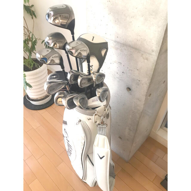 注目ブランドのギフト DUNLOP ゼクシオ レディース フルセット ゴルフ