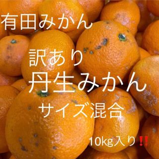 訳あり丹生みかん　サイズ混合　10kg入り‼️(フルーツ)